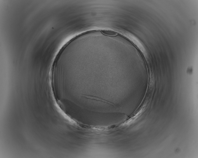 X0000096940958200802221317