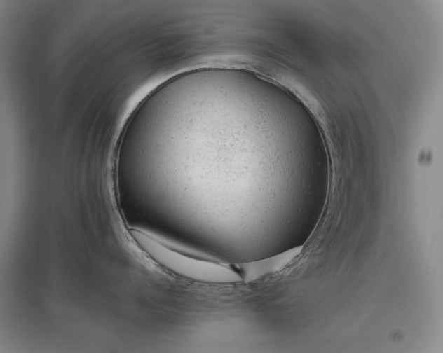 X0000096940960200802221317