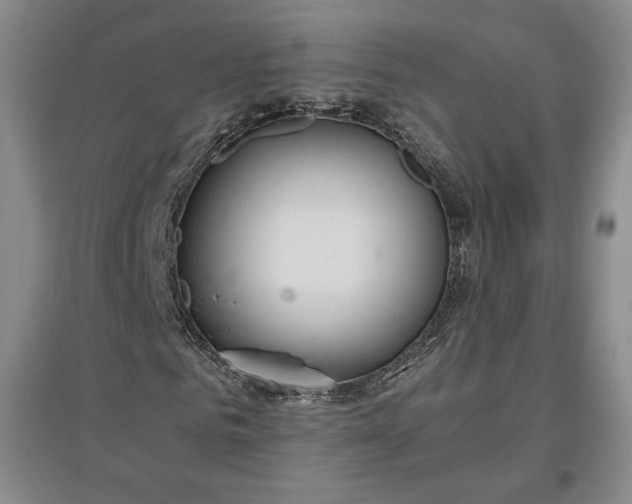 X0000096940961200802221316