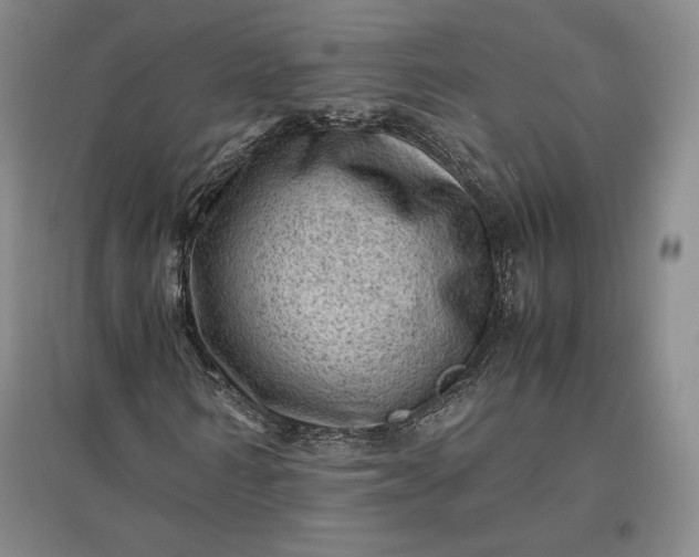 X0000096940962200802221316