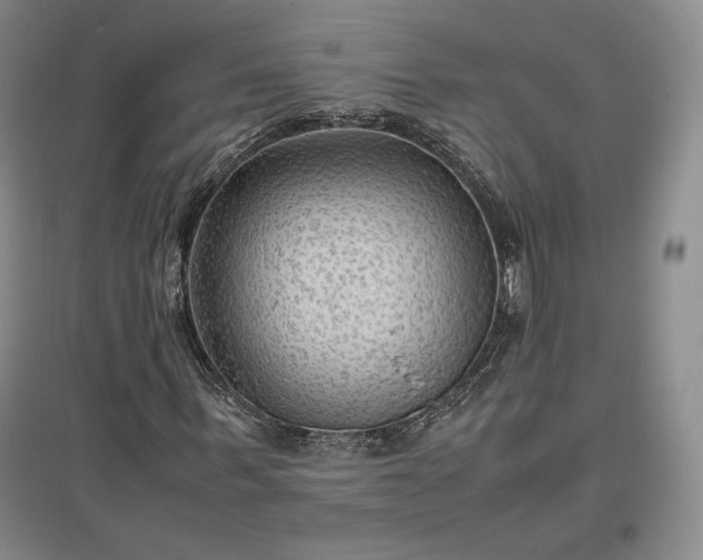 X0000096940963200802221316