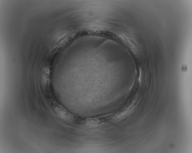 X0000096940964200802221316