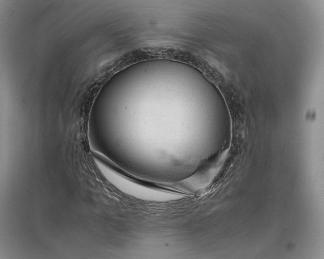 X0000096940965200802221316