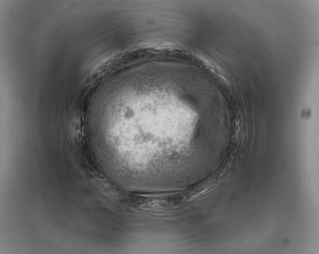 X0000096940966200802221316