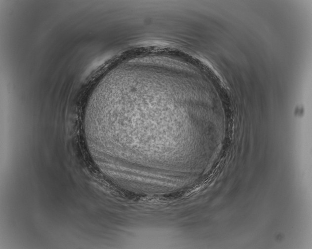 X0000096940967200802221316