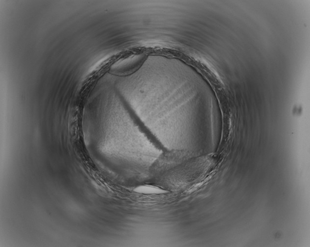 X0000096940968200802221316