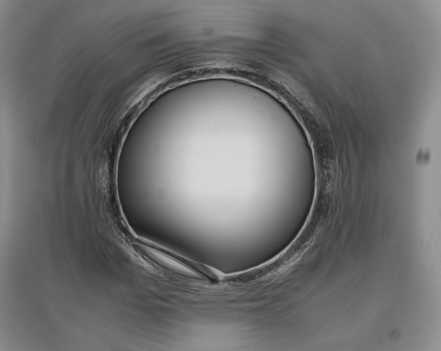 X0000096940969200802221316