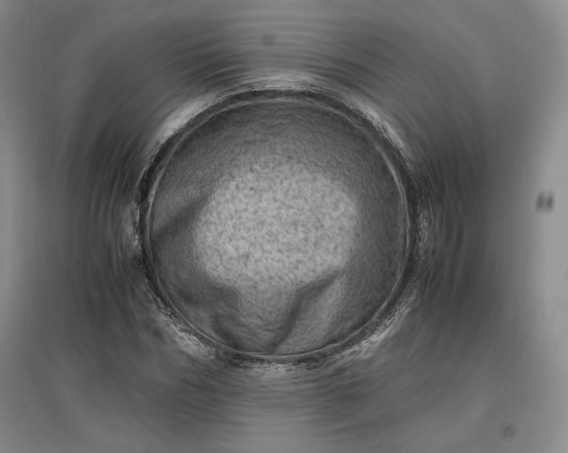 X0000096940970200802221316