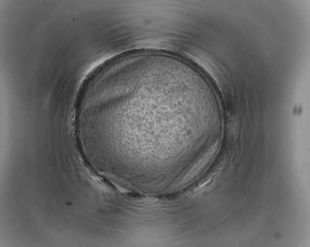 X0000096940971200802221316