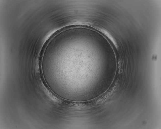 X0000096940972200802221316