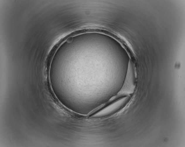 X0000096940973200802221316