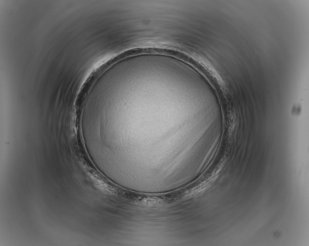 X0000096940974200802221316