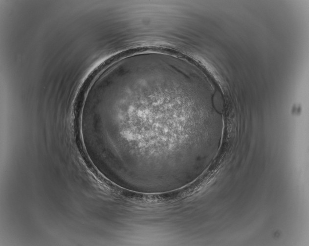 X0000096940975200802221316