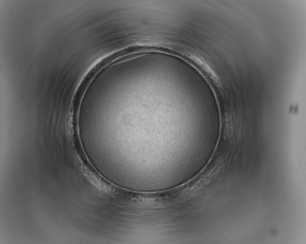 X0000096940976200802221316