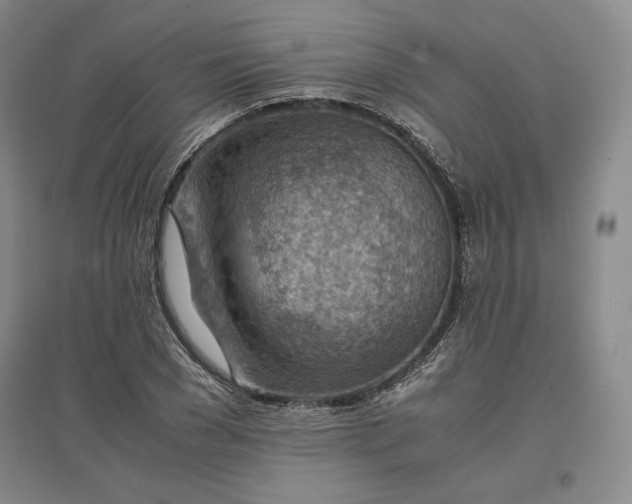 X0000096940977200802221316