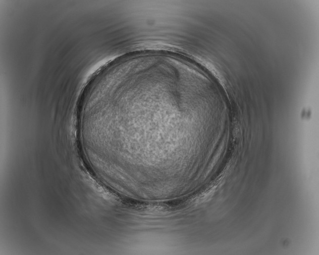 X0000096940979200802221316