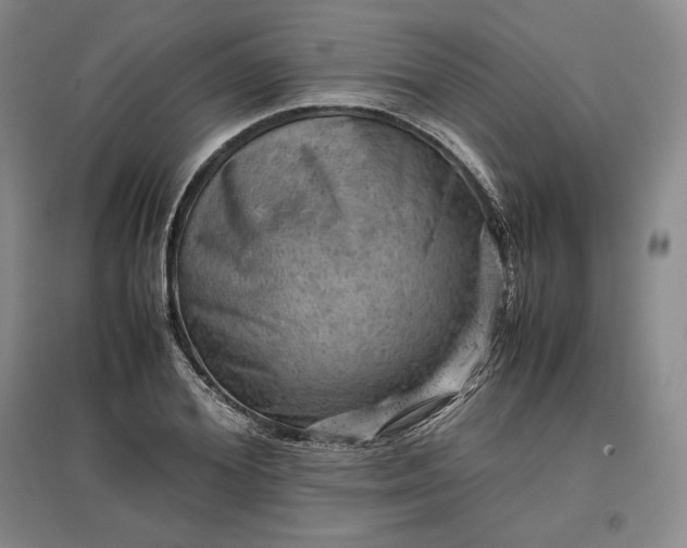 X0000096940980200802221316