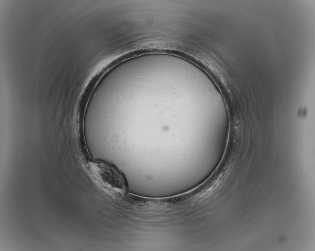 X0000096940981200802221316