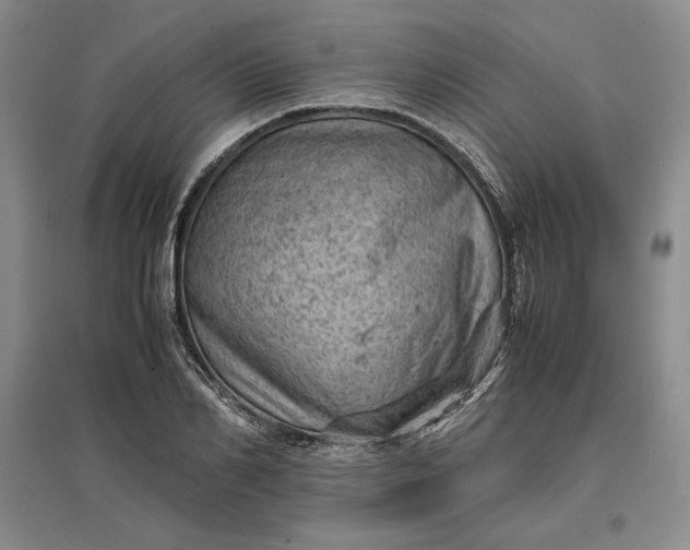 X0000096940982200802221316