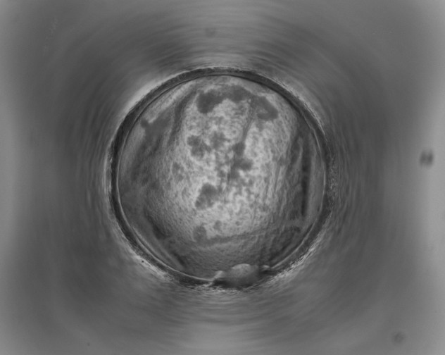 X0000096940983200802221316