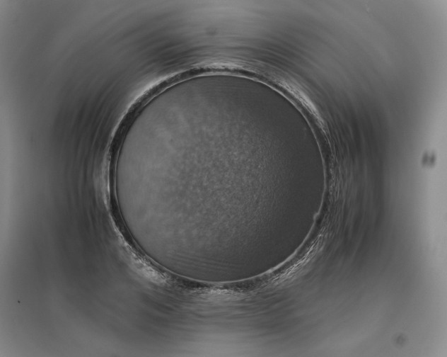 X0000096940984200802221316