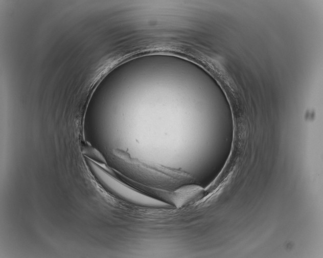 X0000096940985200802221316