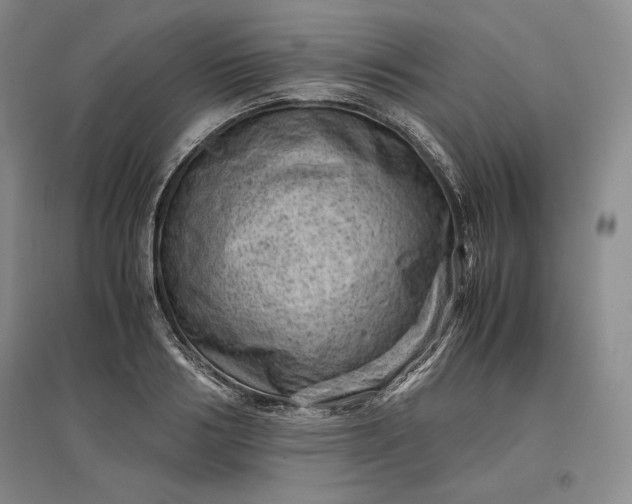 X0000096940986200802221316