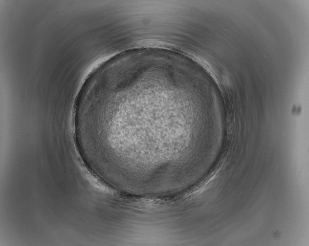 X0000096940987200802221316