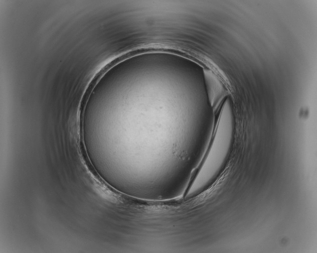 X0000096940988200802221316