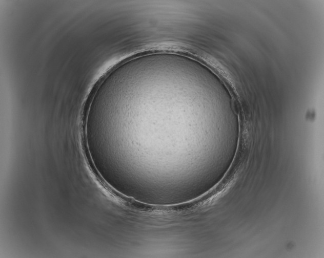 X0000096940989200802221316