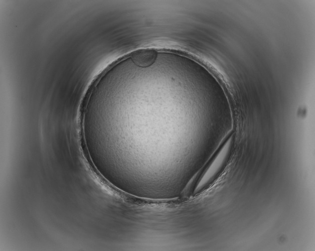 X0000096940990200802221316