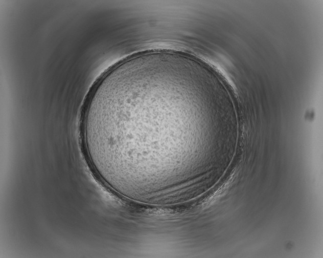 X0000096940991200802221316