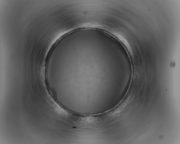 X0000096940992200802221316