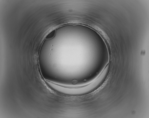 X0000096940993200802221316