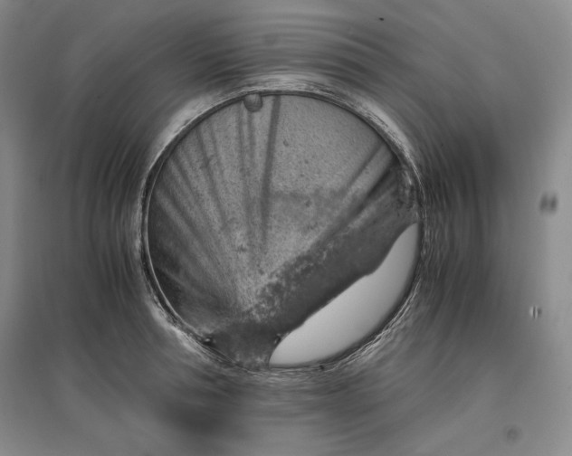 X0000096940994200802221316