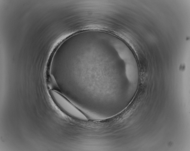 X0000096940995200802221316