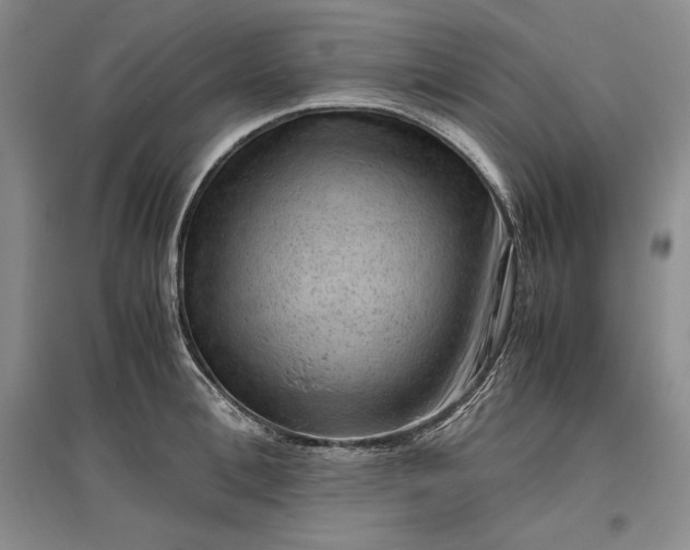 X0000096940996200802221316