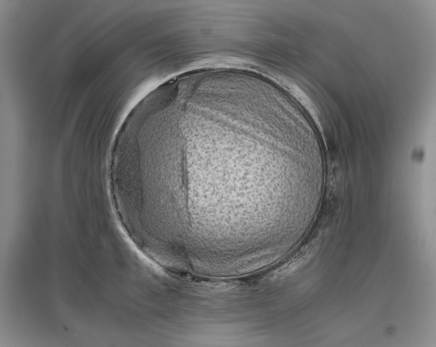 X0000096940997200802221316