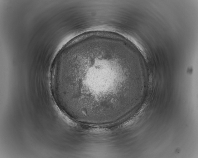 X0000096940998200802221316