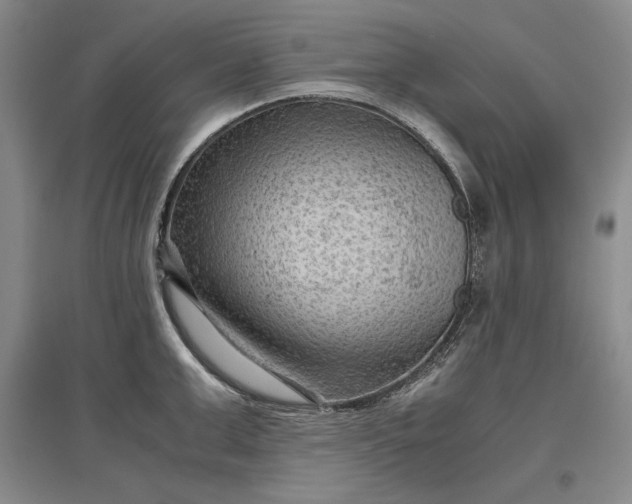 X0000096940999200802221316