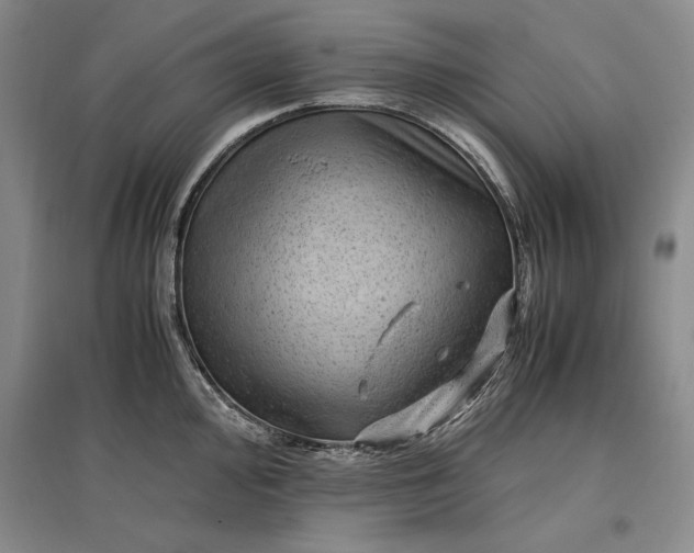 X0000096941000200802221316