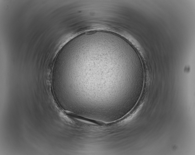 X0000096941001200802221316