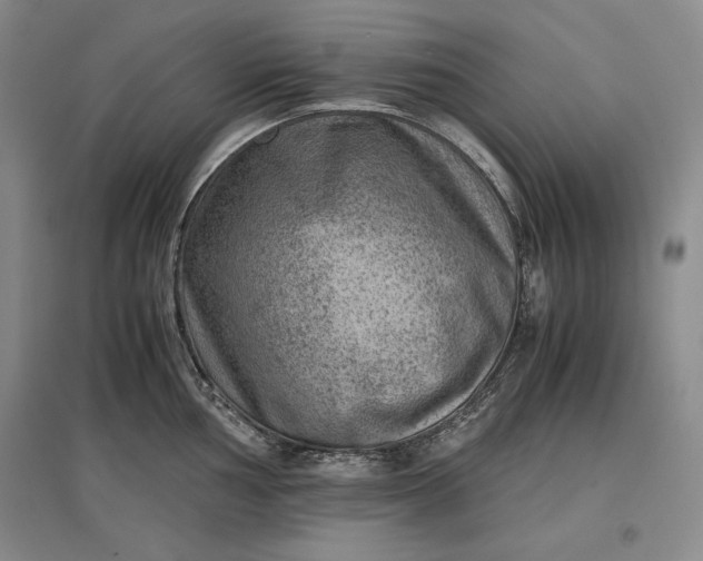 X0000096941002200802221316