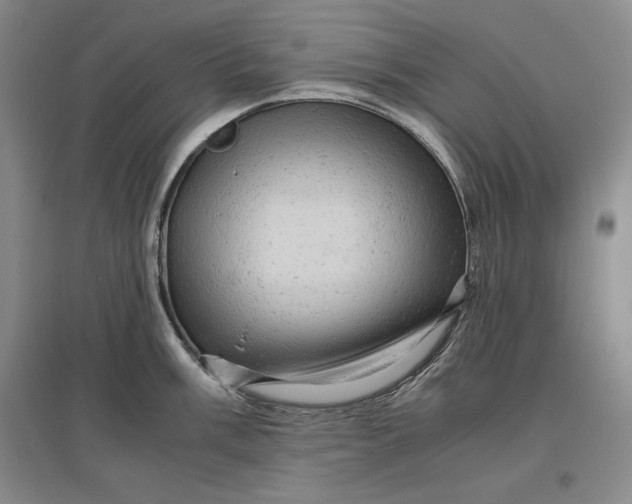 X0000096941003200802221316