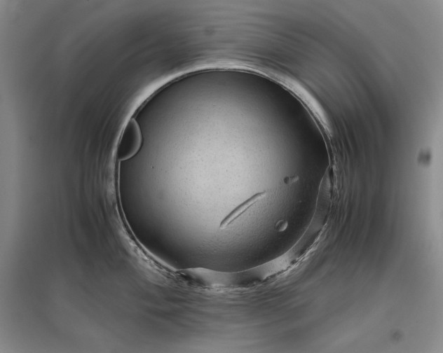 X0000096941004200802221316