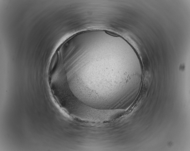 X0000096941005200802221316