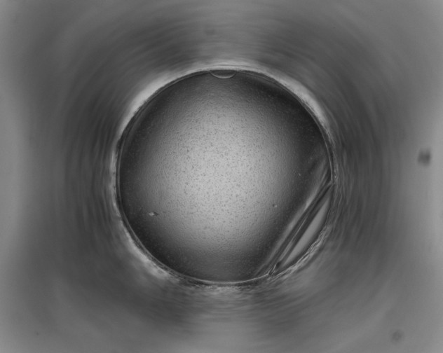 X0000096941006200802221316