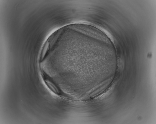 X0000096941007200802221316