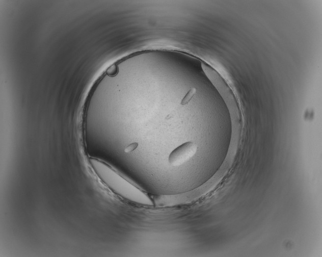 X0000096941008200802221316