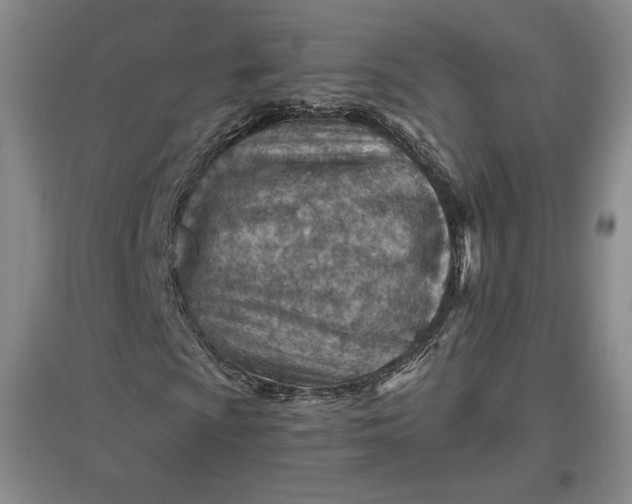 X0000096941009200802221315